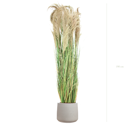 [A-PT7-FC19] The Tall Pampa in a mineral grey pot #Artificial
