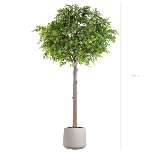 [A-AB10-FC20] Le Chêne 300 - Pot Sable #Artificiel