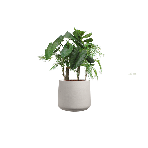 [A-J9-FC20] The Palawan in a mineral grey pot #Artificial