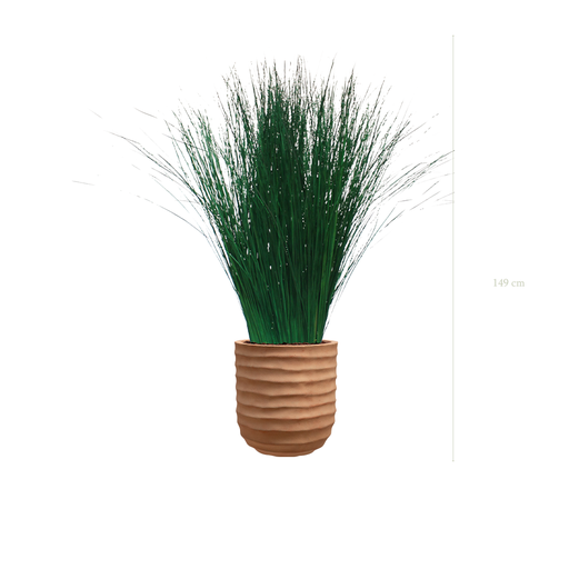 [S-PT1-FC15] La Grande Graminée - Pot Terracotta #Stabilisé