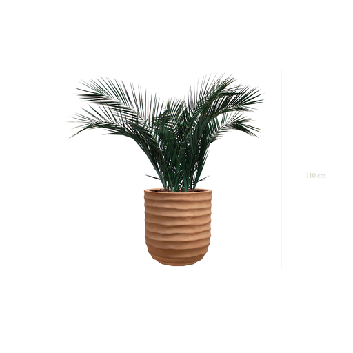 [S-TG6-FC15] Le Palm - Pot Terracotta #Stabilisé