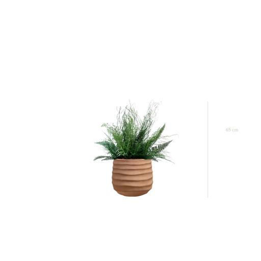 [S-TG10-FC12] La Forêt - Pot Terracotta #Stabilisé