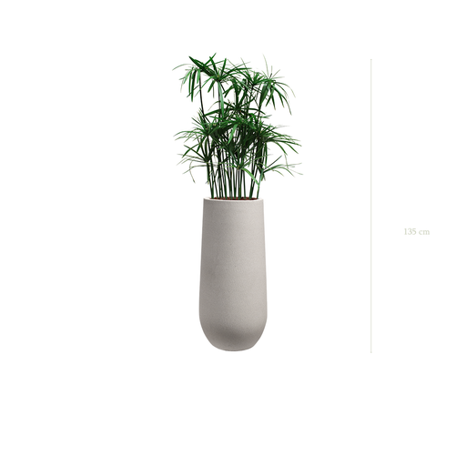 [S-TG5-FC21] Le Papyrus - Pot Sable #Stabilisé