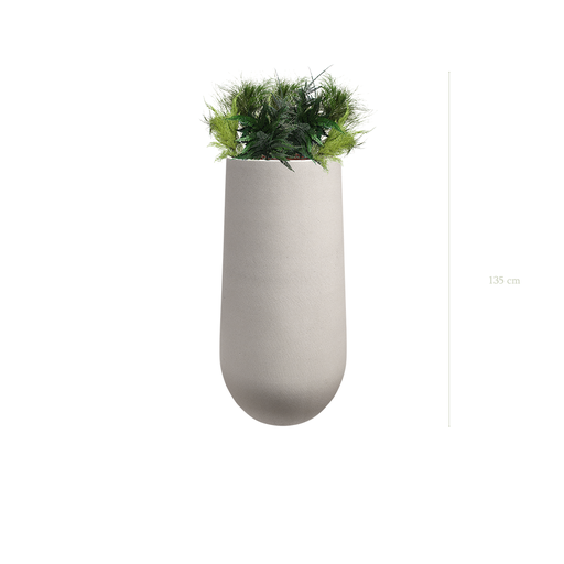 [S-TG2-FC22] The Fern in a mineral grey pot #Stabilized