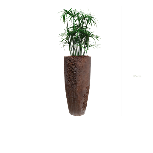 [S-TG5-FC10] Le Papyrus - Pot Oyster #Stabilisé