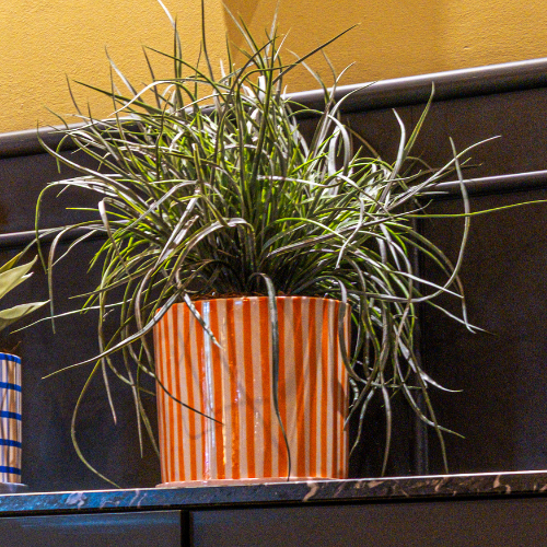 [A-TG55-CE17] The Grass Bush – Chromatic Pot #Artificial