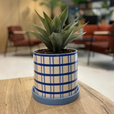 [A-TG12-CE18] The Agave – Chromatic Pot #Artificial