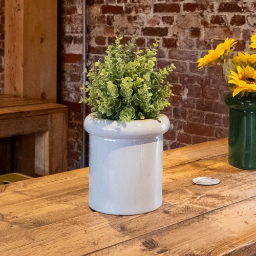 [A-TG14-CE21] The Mini Eucalyptus – Mario Pot #Artificial