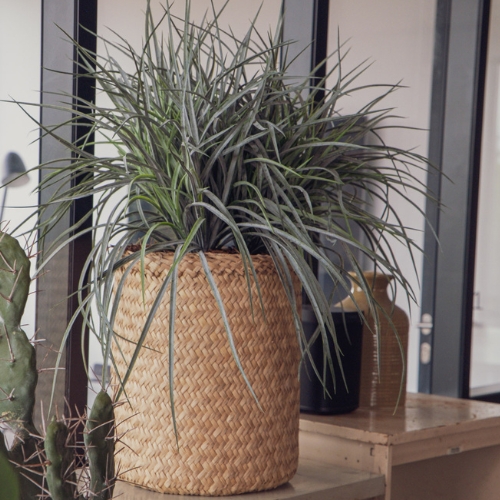 [A-TG55-TR1] The Grass Bush – Woven Pot #Artificial