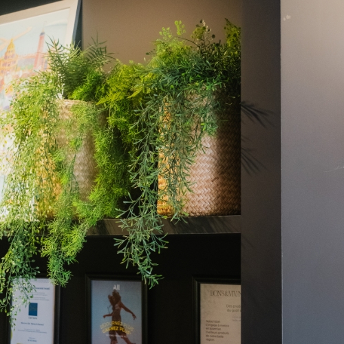 [A-TG18-TR1] Die hängende Hoya – Geflochtener Topf #Künstlich