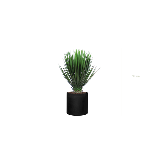 [A-PT13-FB32] Die Yucca – Schwarzer Zylinder #Künstlich