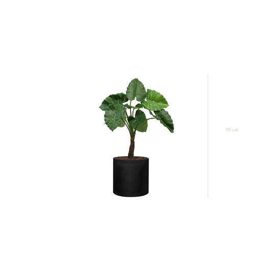 [A-PT5-FB32] Die Kleine Alocasia - Schwarzer Zylinder #Künstlich