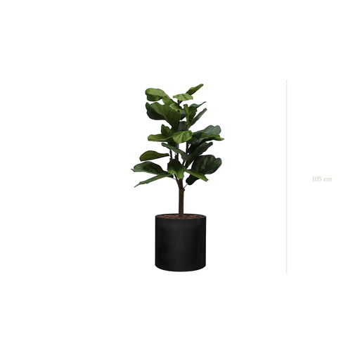 [A-PT1-FB32] Die Kleine Ficus Lyrata – Schwarzer Zylinder #Künstlich