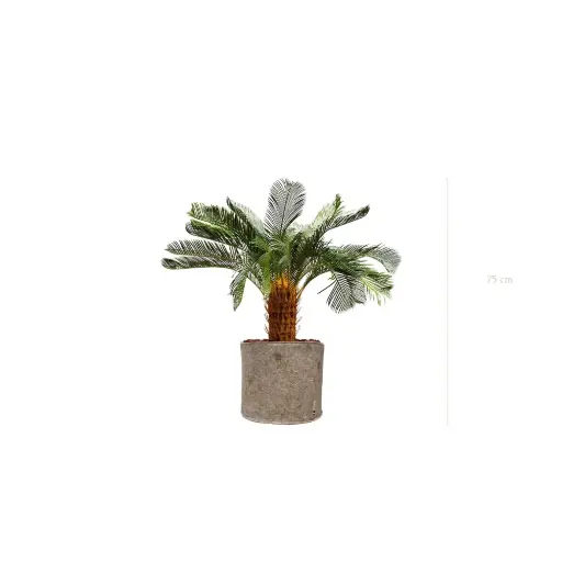 [A-PT21-TI5] Le Petit Cycas - Pot Tissu Beige - Artificiel