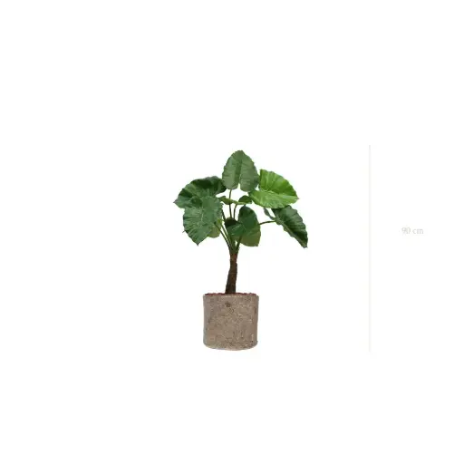 [A-PT5-TI5] The Small Alocasia – Beige Fabric Pot #Artificial