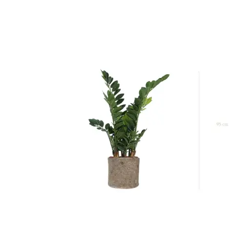 [A-PT15-TI5] Le Zamia - Pot Tissu Beige #Artificiel