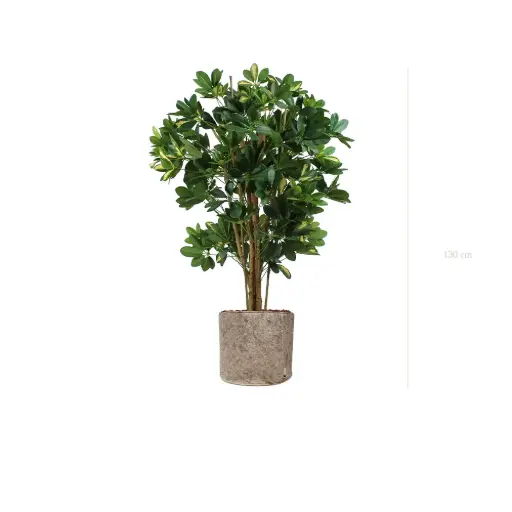 [A-PT10-TI6] The Schefflera – Beige Fabric Pot #Semi-Natural
