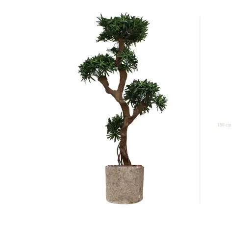 [A-PT8-TI6] Der Podocarpus - Beiger Stofftopf #Künstlich