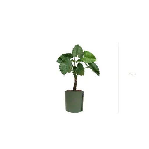 [A-PT5-TI9] The Small Alocasia – MyBac Pot #Artificial
