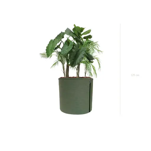 [A-J9-TI11] The Palawan – MyBac Pot #Artificial