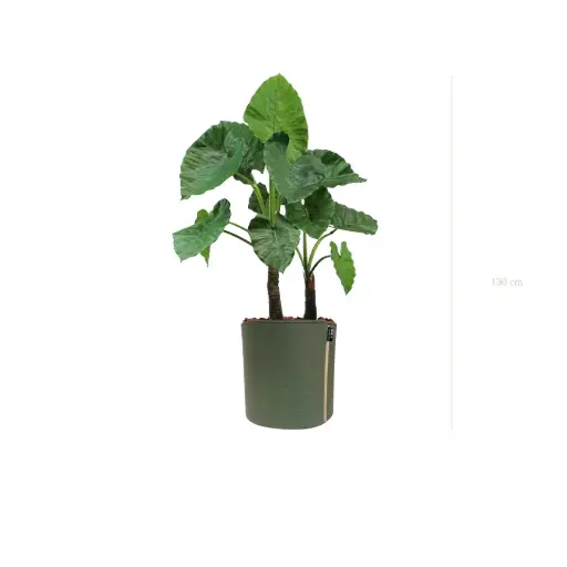 [A-PT4-TI10] Le Grand Alocasia - Pot MyBac #Artificiel