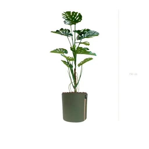 [A-PT17-TI10] La Monstera - Pot MyBac - Artificiel