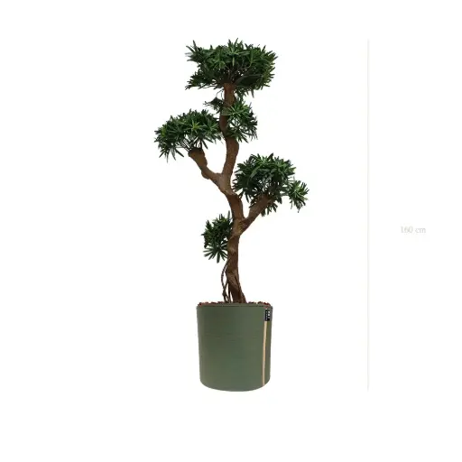 [A-PT8-TI10] Der Podocarpus - MyBac-Topf #Künstlich