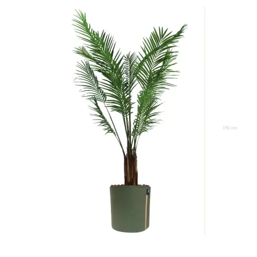 [A-PT2-TI10] Die Areca - MyBac-Topf #Halbnatürlich