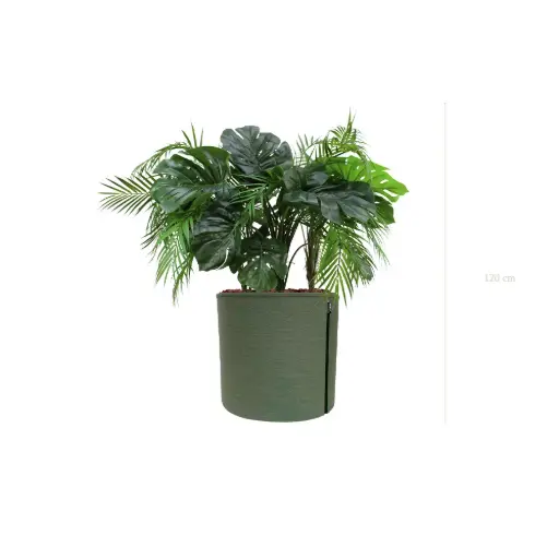 [A-J10-TI11] La Java - Pot MyBac #Artificiel