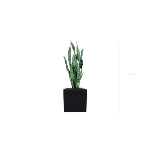[A-PT27-FB7] Le Sansevieria - Cube Noir - Artificiel