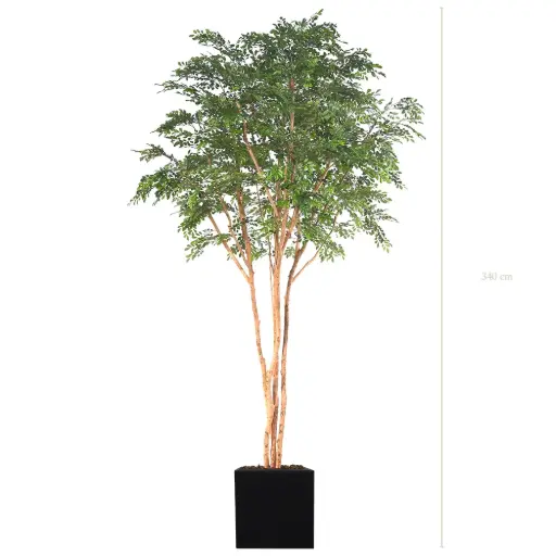 [A-AB13-FB11] The Bucida – Black Cube #Semi-Natural