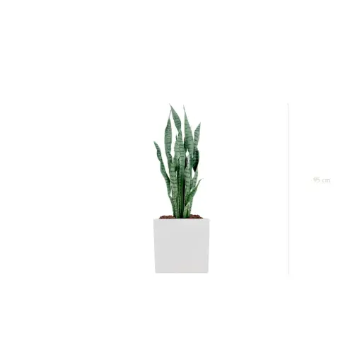[A-PT27-FB8] Le Sansevieria - Cube Blanc #Artificiel