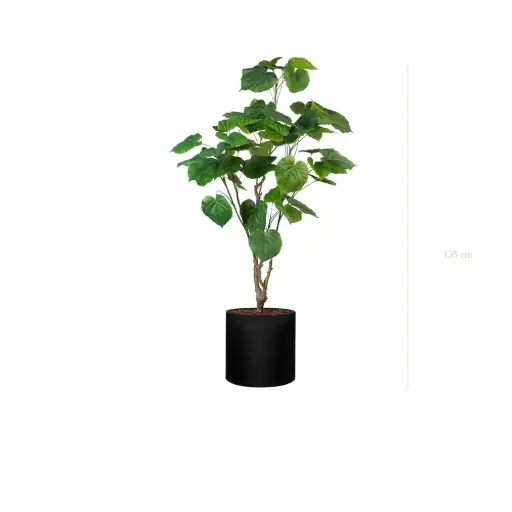 [A-PT29-FB32] The Ficus Umbellata – Black Cylinder #Artificial