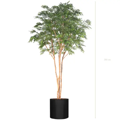 [A-AB13-FB27] The Bucida – Black Cylinder #Semi-Natural