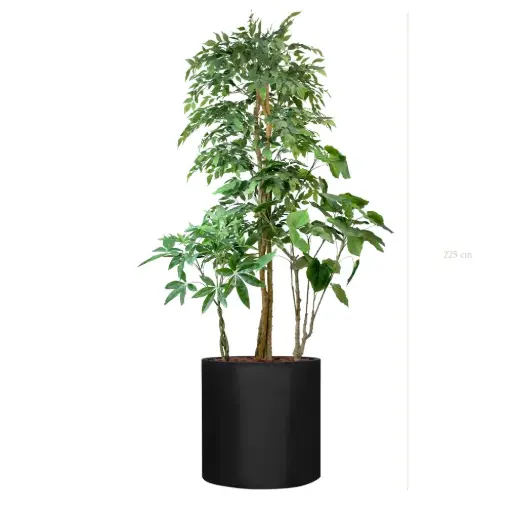 [A-J16-FB27] The Skye – Black Cylinder #Semi-Natural