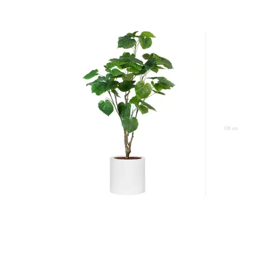 [A-PT29-FB31] The Ficus Umbellata – White Cylinder #Artificial