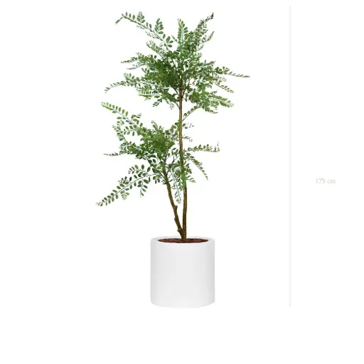 [A-PT31-FB22] The Sophora – White Cylinder #Artificial