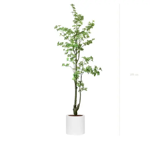 [A-PT32-FB31] Le Tropaeolum - Cylindre Blanc #Artificiel