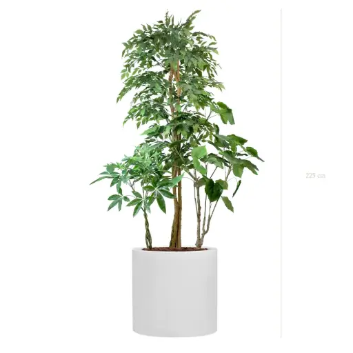 [A-J16-FB26] The Skye – White Cylinder #Semi-Natural