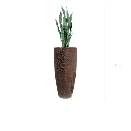 [A-PT27-FC10] Le Sansevieria - Pot Oyster - Artificiel