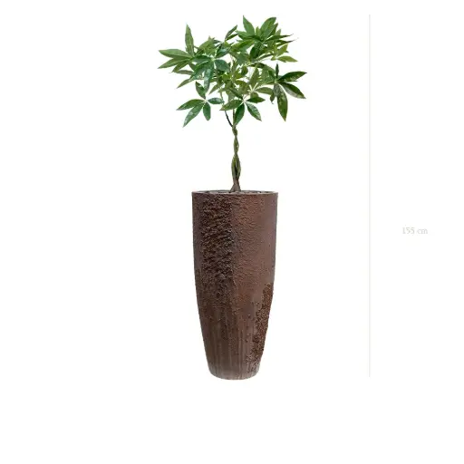 [A-PT28-FC10] Le Pachira - Pot Oyster #Artificiel