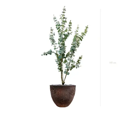 [A-PT25-FC7] The Small Eucalyptus – Oyster Pot #Artificial