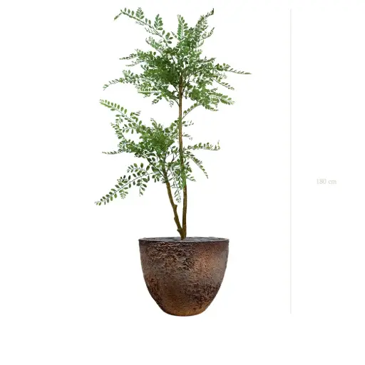 [A-PT31-FC8] The Sophora – Oyster Pot #Artificial