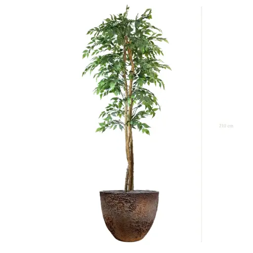 [A-PT30-FC8] The Figuier – Oyster Pot #Semi-Natural