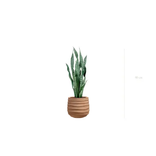 [A-PT27-FC12] The Sansevieria – Terracotta Pot #Artificial