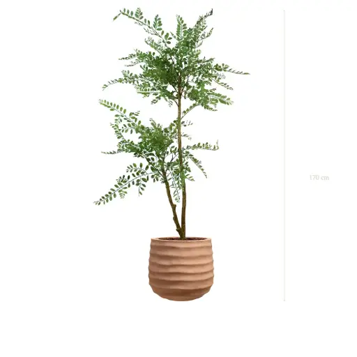 [A-PT31-FC13] The Sophora – Terracotta Pot #Artificial