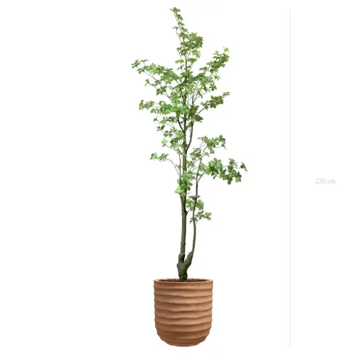 [A-PT32-FC15] The Tropaeolum – Terracotta Pot #Artificial