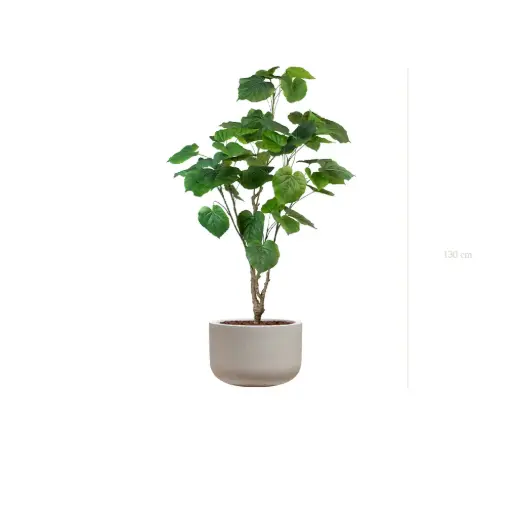 [A-PT29-FC17] Le Ficus Umbellata - Pot Sable - Artificiel