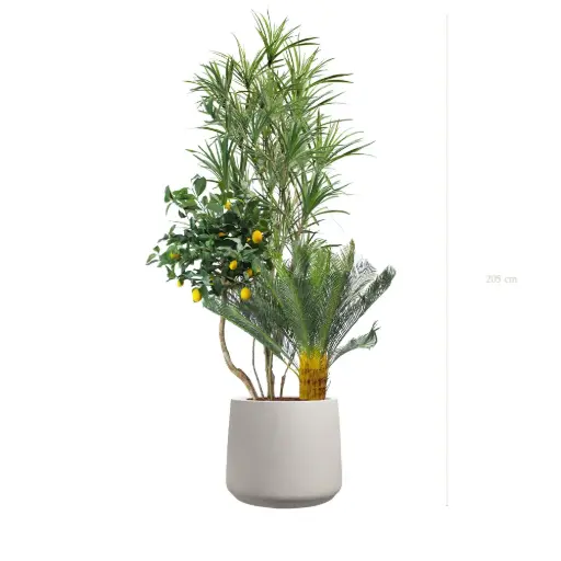 [A-J15-FC20] La Capri - Pot Sable #Semi-Naturel 