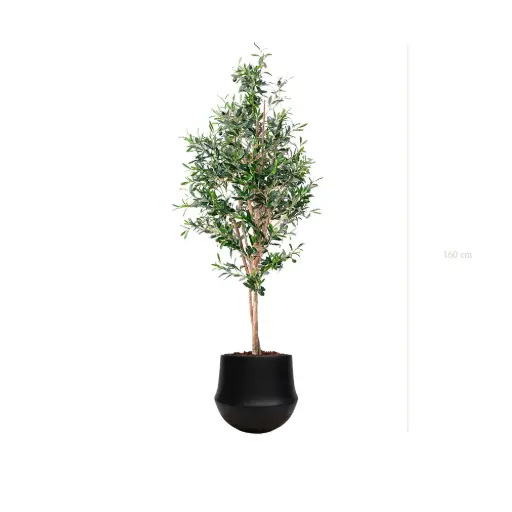 [A-PT26-CE10] The Small Olivier – Black Round Pot #Semi-Natural